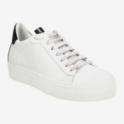 Art.  43.168.111-003 - White